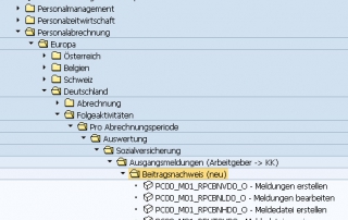 Redesign SV-Beitragsnachweis 2014; Redesign SV-Beitragsnachweis 2014: SAP HCM
