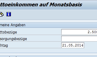 RPCNETD0 - Nettoeinkommen auf Monatsbasis