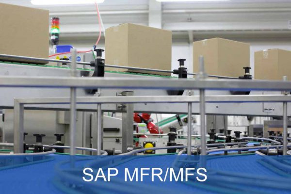 SAP Materialflussrechner