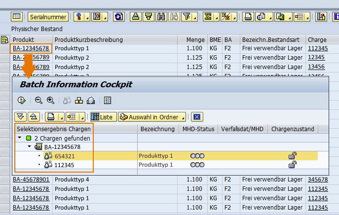 Chargenverwaltung und Serialisierung in SAP