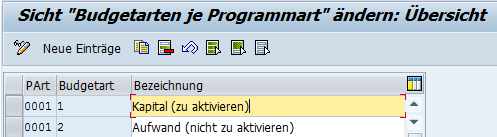 SAP IM Investitionsprojekte Budgetarten