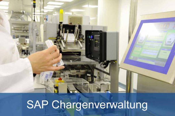 SAP Chargenverwaltung Serialisierung