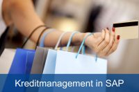 Kreditmanagement in SAP