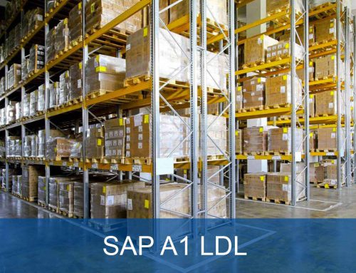SAP A1-LDL: SAP ERP All-in-One solution for logistics service providers