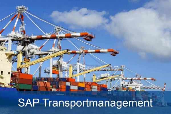 SAP Transportmanagement SAP TM