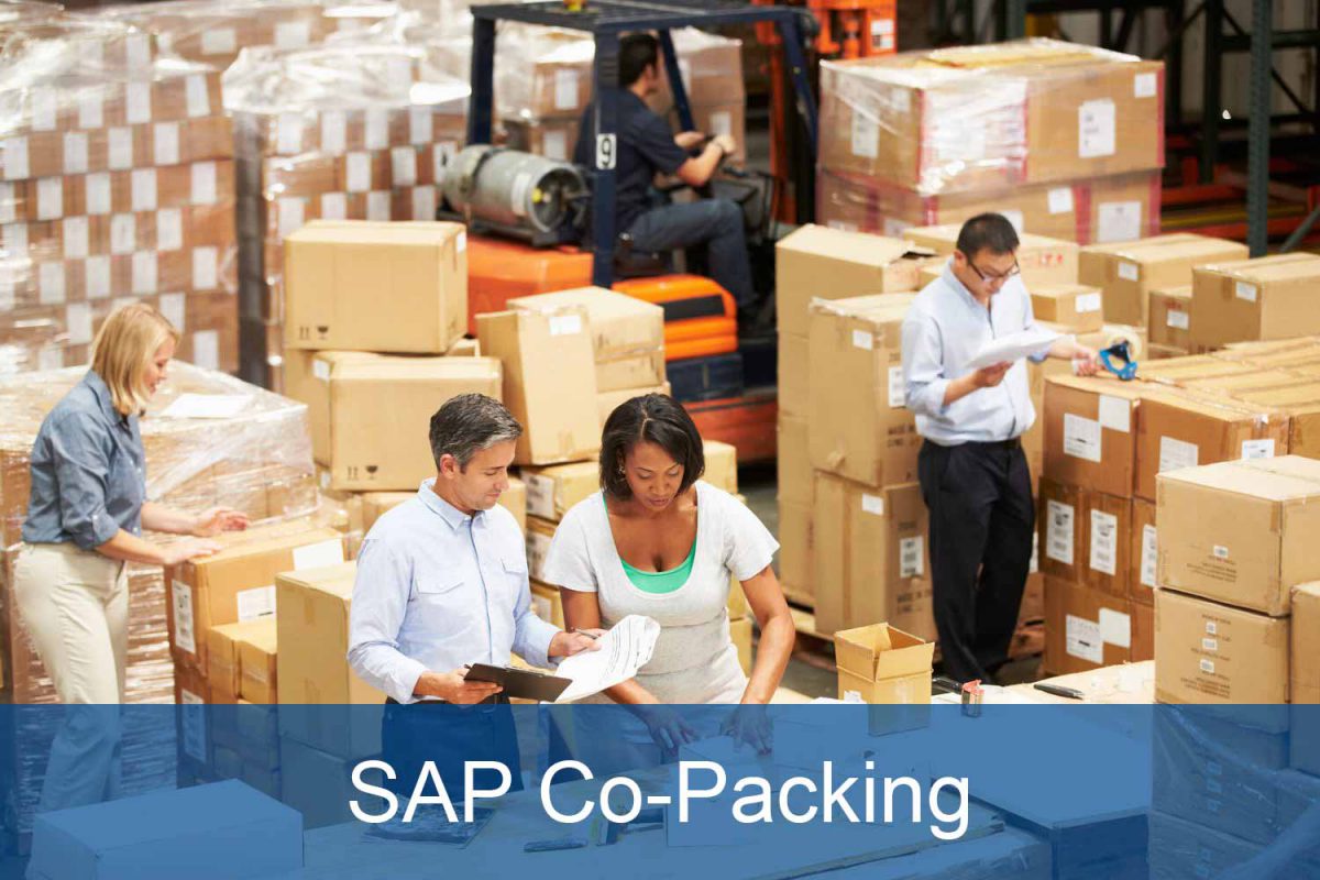 SAP Packaging Mapping of SAPbased Packaging Processes SERKEM
