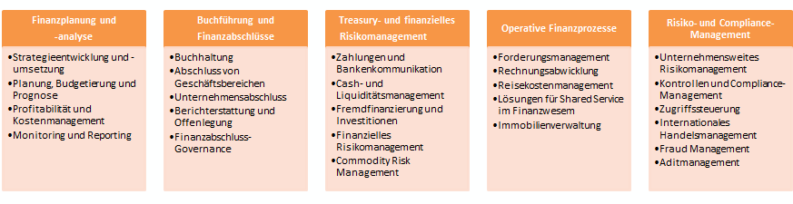 SAP Simple Finance