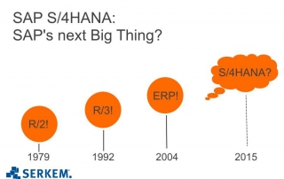 SAP S4HANA SAP Business Suite