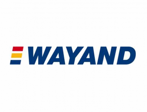 System-supported Warehouse Manangement in SAP: Success Story Wayand