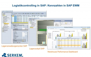 Logistikcontrolling Kennzahlen SAP EWM