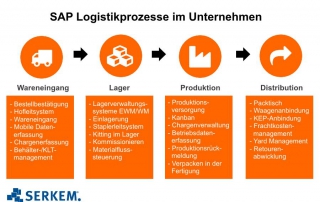 SAP Logistikprozesse Wareneingang Lager Produktion Distribution SAP WM SAP EWM