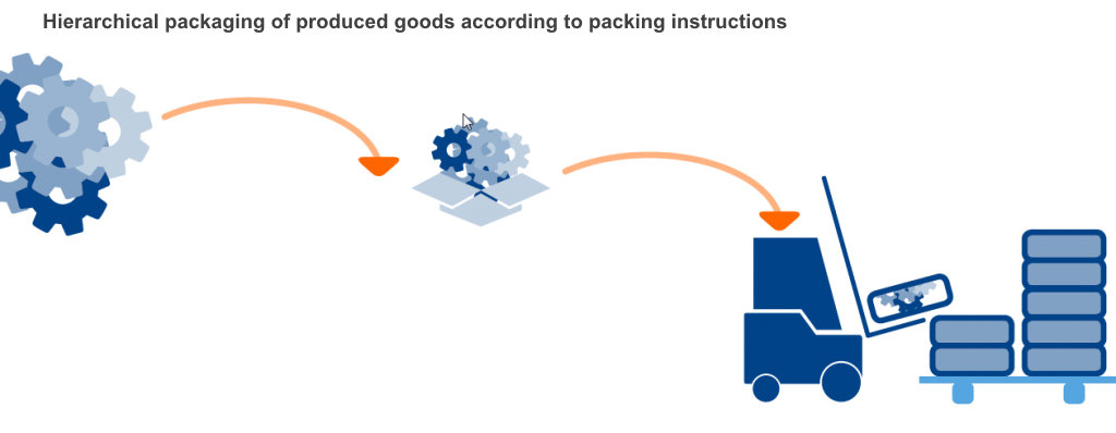 SAP managed packaging in production
