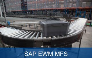 SAP EWM Materialflusssteuerung