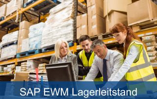 SAP EWM Lagerleitstand