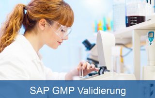 SAP GMP Validierung Vorschau