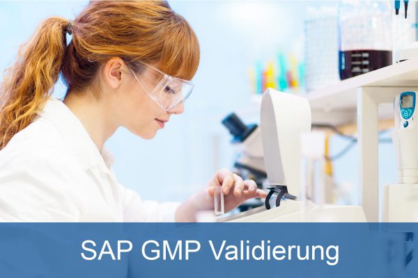 SAP GMP Validierung Vorschau