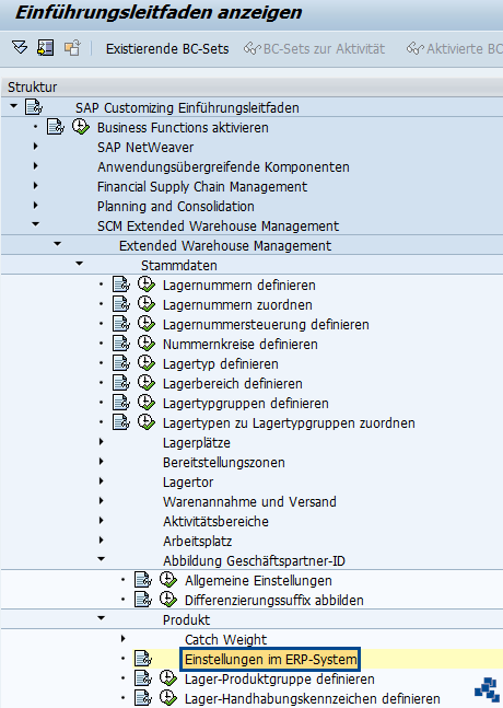 Sap Ewm Einstellungen Im Erp Serkem