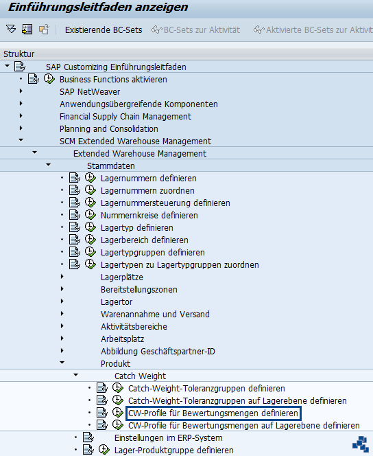 SAP EWM Catch Weight Profile Bewertungsmengen definieren Customizing
