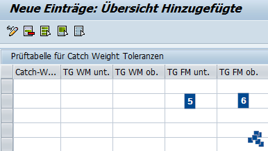 SAP EWM Catch Weight Toleranzgruppen definieren