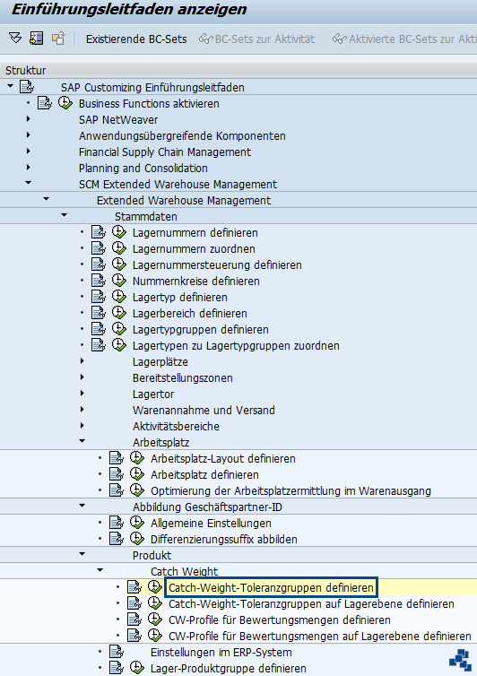 SAP EWM Catch Weight Toleranzgruppen definieren Customizing