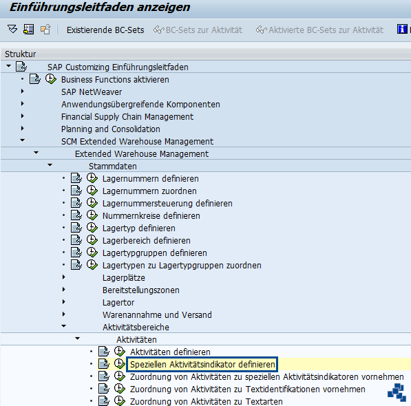 SAP EWM Spezieller Aktivitaetsindikator Customizing