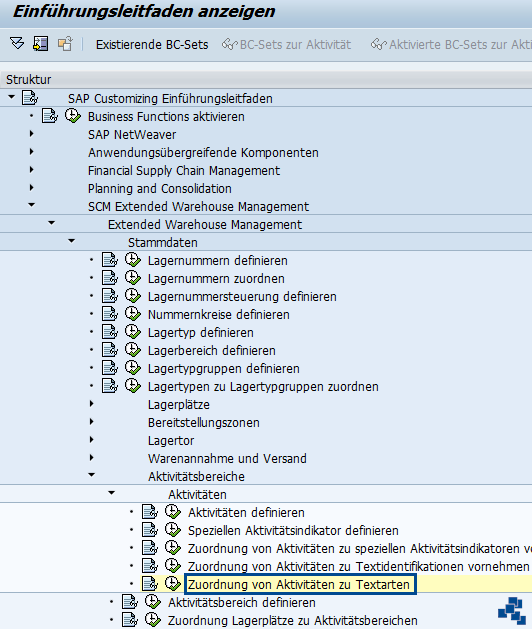 SAP EWM Zuordnung von Aktivitäten zu Textarten Customizing