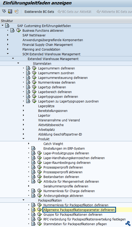 SAP EWM Allgemeine Packspezifikationsparameter definieren Customizing