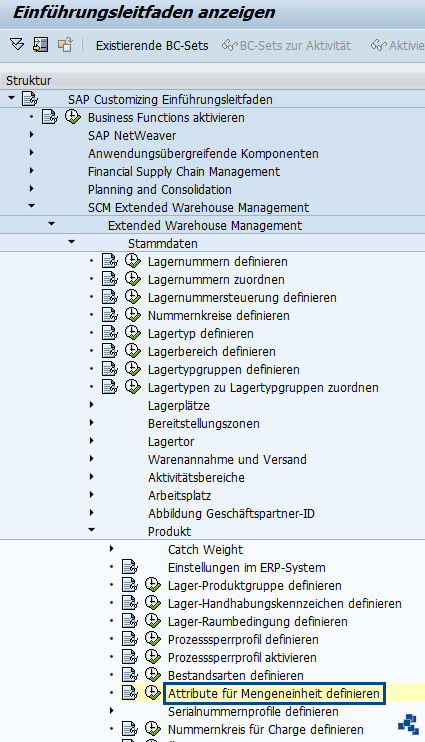 SAP EWM Attribute für Mengeneinheit definieren Customizing