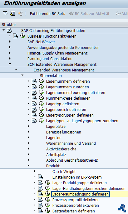 SAP EWM Lager-Raumbedingung definieren Customizing