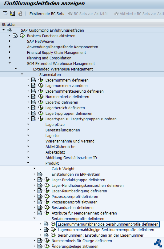 SAP EWM Lagernummernunabhängige Serialnummernprofile definieren Customizing