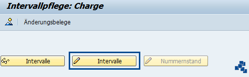 SAP EWM Nummernkreis fuer Charge definieren neuer Eintrag