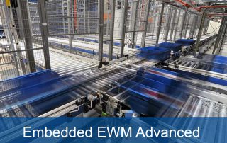 sap s4hana embedded ewm advanced serkem vorschau