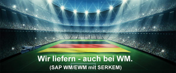 SERKEM SAP WM/EWM