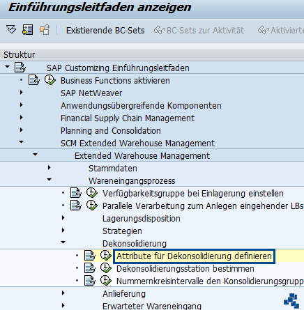 SAP EWM Attribute fuer Dekonsolidierung definieren_Customizing