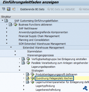 SAP EWM Zuordnung Fixlagerplatz loeschen_Customizing - SERKEM