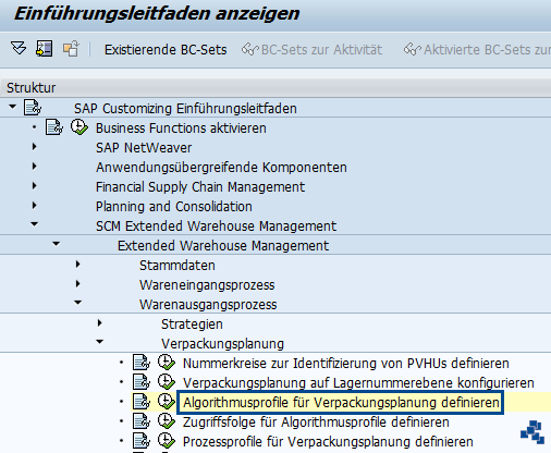 SAP EWM Algorithmusprofile fuer Verpackungsplanung definieren_Customizing