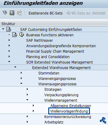 SAP EWM Automatische Wellengenerierung für Lagerprozessart einstellen_Wellenvorlagenfindung