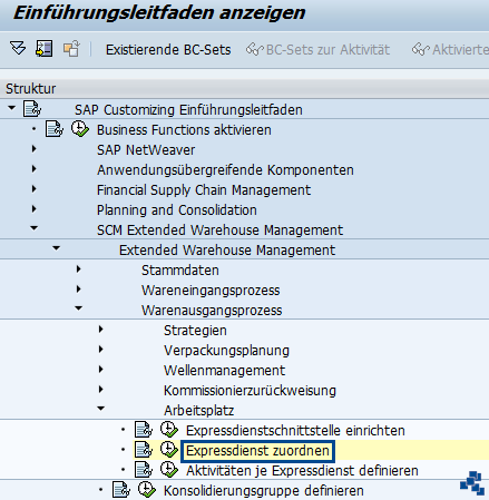 SAP EWM Expressdienst zuordnen_Customizing