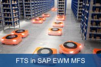 Fahrerlose Transportsysteme SAP EWM