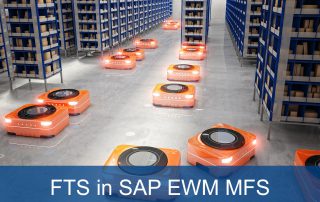 Fahrerlose Transportsysteme SAP EWM