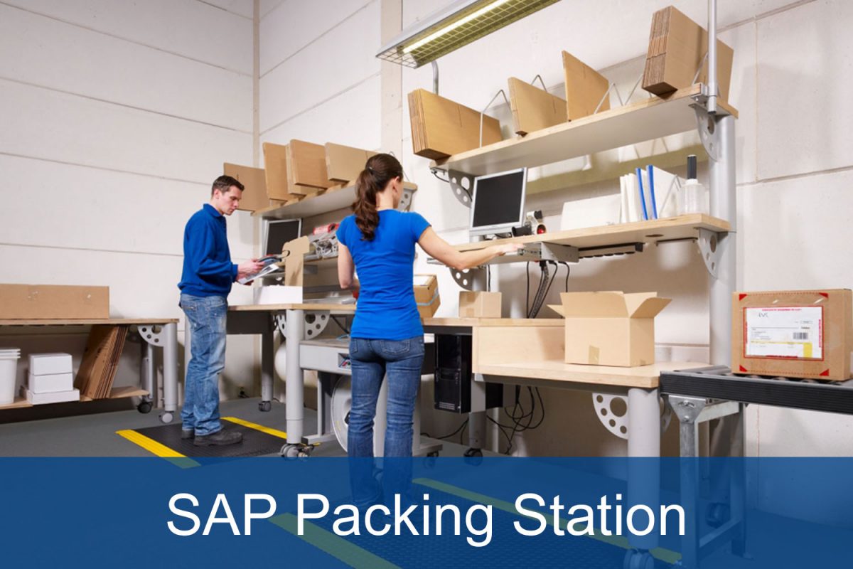 SAP Packaging Mapping of SAPbased Packaging Processes SERKEM