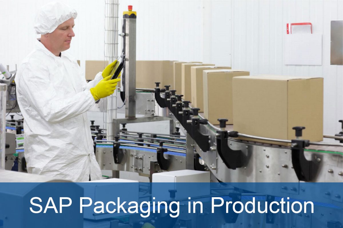 SAP Packaging Mapping of SAPbased Packaging Processes SERKEM