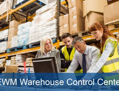 SERKEM SAP EWM warehouse control center: Check all processes in the warehouse