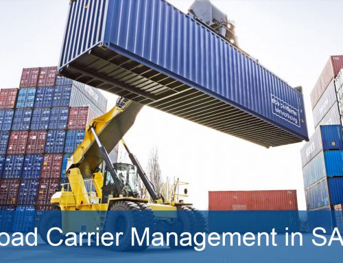 Load carrier management in SAP